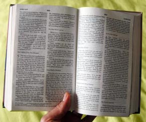 what is the bible quiz